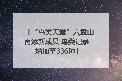 “鸟类天堂”六盘山再添新成员 鸟类记录增加至336种